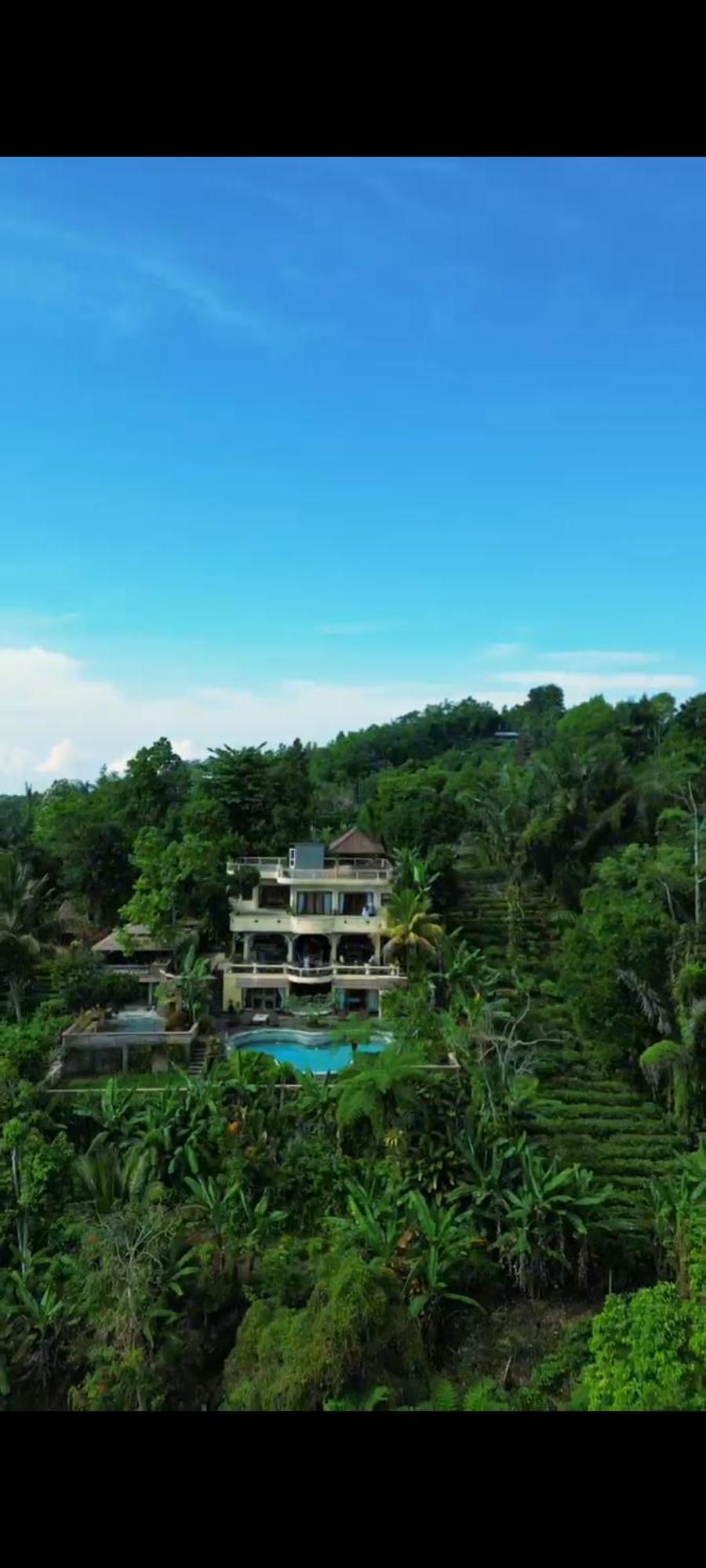 Bed and Breakfast Dwan Tea Mountain Side Jatiluwih Exterior foto